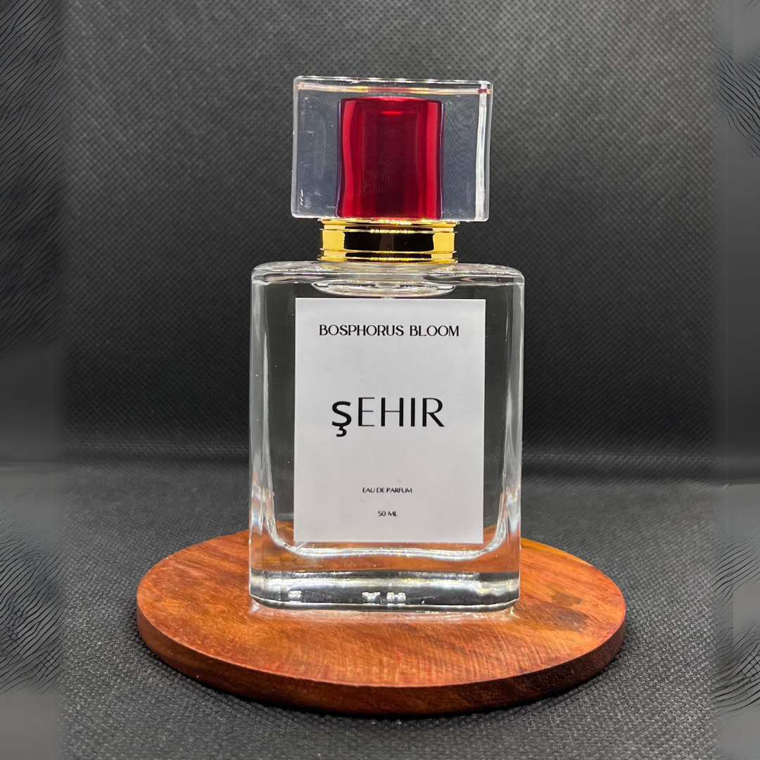 Şehir | 212 NYC
