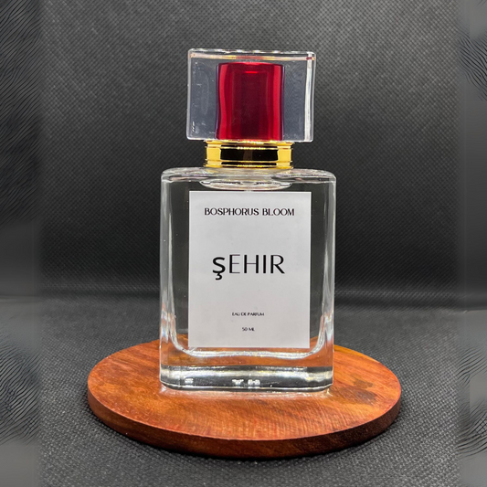 Şehir | 212 NYC