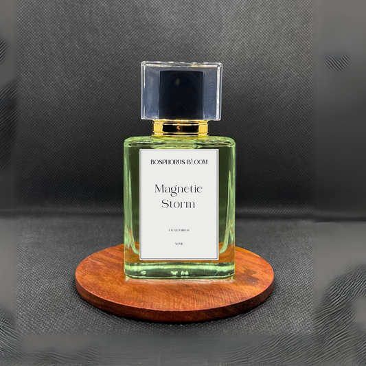 Magnetic Storm | Inspired by ACQUA DI GIÒ by Armani